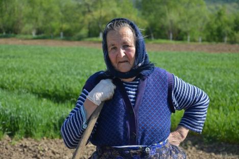 Sărăcia s-a născut la sat! Bătrânii rămaşi în satele din Bihor nu mai au pe cine angaja să le sape grădinile, nici dacă oferă 100 lei pe zi (FOTO)