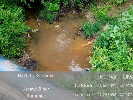 Situaţie halucinantă la Finiş: O firmă de colectare a deşeurilor deversa direct într-un afluent al Crişului Negru apele cu chimicale periculoase! (FOTO)