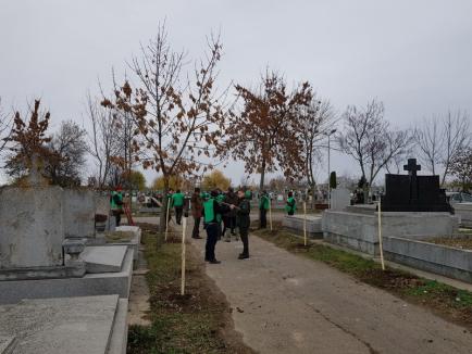 De Centenar, 100 de stejari au fost plantaţi în Cimitirul Municipal de Garda Forestieră şi Direcţia Silvică (FOTO)