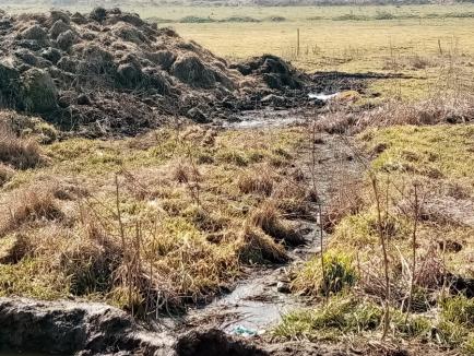 Un fermier din Bihor, amendat cu 6.000 de lei. Comisarii de mediu au găsit îngrăşăminte chimice şi dejecţii animaliere depozitate neconform (FOTO)