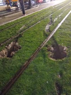 Mai avem nevoie și de iarbă! Spațiul verde dintre liniile de tramvai din Cantemir, distrus de un șofer dezorientat (FOTO)