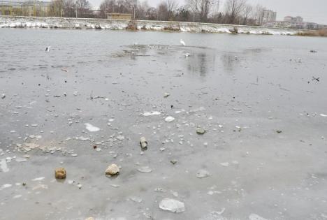 ABA Crişuri avertizează: Atenţie la gheaţa de pe râuri!