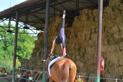 Gimnastică pe cai: Amatorii de echitaţie pot învăța acrobații ecvestre la doi paşi de Oradea (FOTO / VIDEO)