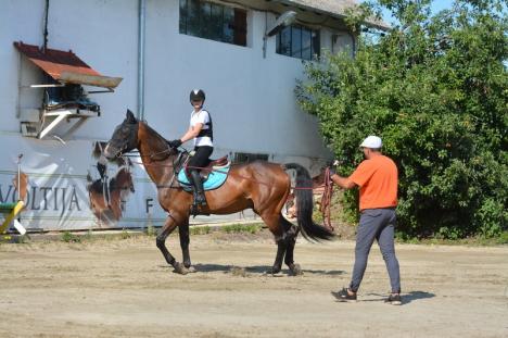 Gimnastică pe cai: Amatorii de echitaţie pot învăța acrobații ecvestre la doi paşi de Oradea (FOTO / VIDEO)