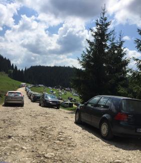 Au evadat la munte! Sute de oameni au campat pe platoul Glăvoi, fugind de caniculă (FOTO)