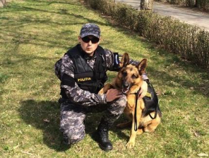 Bravo, Gom! Dispărută din grădina bunicilor în Sârbi, o fetiță de 2 ani a fost găsită de câinele Poliției