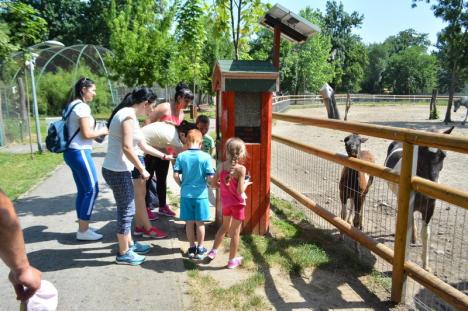 Grădina defectă: Ajunsă în stare deplorabilă, Grădina Zoologică din Oradea s-ar putea muta la Săldăbagiu (FOTO)