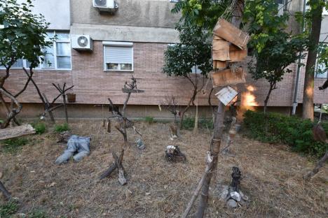 Grădina lui Sorin: Un orădean a decorat inedit grădina din fața blocului (FOTO)