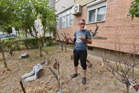 Grădina 'suspinelor': Un angajat RER a amenajat spaţiul din faţa blocului inspirat de trupa rock Celelalte Cuvinte (FOTO)