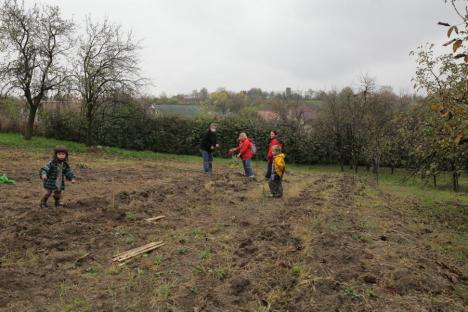 Şcoala lui 'Péter bácsi': Un grup de orădeni au amenajat prima grădină comunitară, unde oricine poate cultiva legume (FOTO)