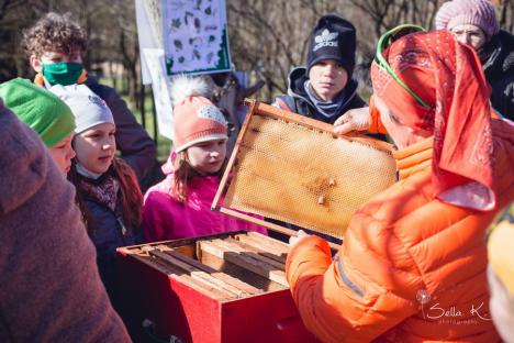 Şcoala lui 'Péter bácsi': Un grup de orădeni au amenajat prima grădină comunitară, unde oricine poate cultiva legume (FOTO)