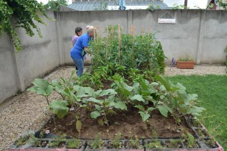 Pe simţite: Centrul SOS Autism Bihor are de acum grădină şi sală senzorială, cu multe lumini şi plante aromatice (FOTO/VIDEO)
