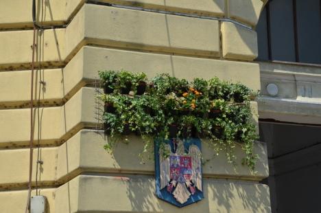 Corso înverzit: Primăria îi provoacă pe patronii teraselor de pe pietonală să dea oxigen şi culoare străzii (FOTO)