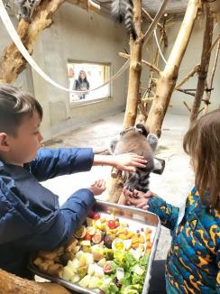 Ziua părinților adoptivi, la Zoo Oradea. Capibara, cel mai adoptat animal (FOTO)