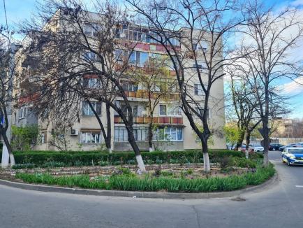 Jos pălăria: Grădinile unor blocuri din Oradea, amenajate cu dragoste (FOTO)