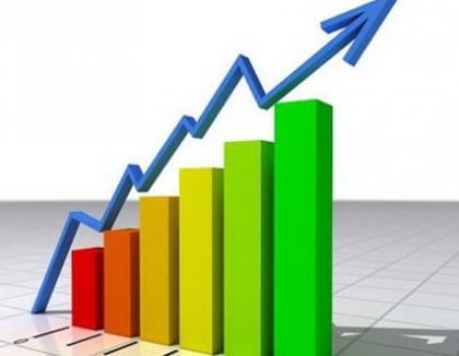 Institutul Naţional de Statistică: Economia a crescut cu 2,9% în 2014