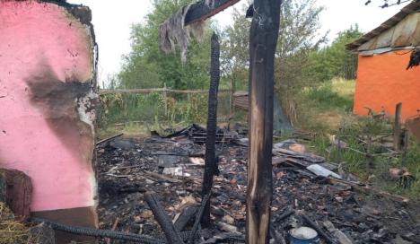 Incendiu într-un grajd din Bihor. Din ce cauză era să ardă un cal