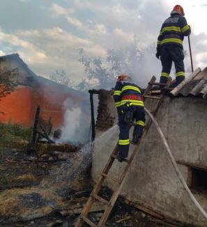 Incendiu într-un grajd din Bihor. Din ce cauză era să ardă un cal
