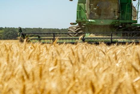 Importurile de cereale din Ucraina în România ar putea fi, până la urmă, oprite