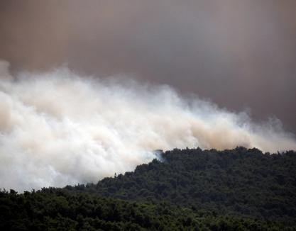 Acte criminale? Autorităţile din Grecia spun că au 'indicii serioase' că incendiile dezastruoase au fost provocate (FOTO)