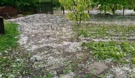 Avertizare: Cod Galben de ploi, grindină şi descărcări electrice în Bihor