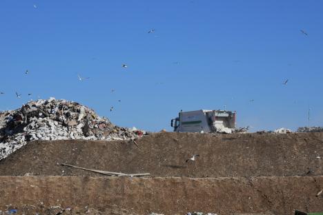 Muntele gunoaielor: Un munte de deșeuri, crescut la marginea Oradiei, va fi îngropat definitiv. Imagini inedite de la halda din Episcopia! (FOTO)