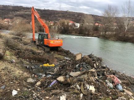 ABA curăţă malurile: Peste 800 de metri cubi de gunoaie adunate de pe malul stâng al Crişului Repede, în Oradea! (FOTO)