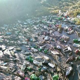 Mormane de gunoaie pe un canal colector din Bihor! Trei primării au fost somate să le elimine (FOTO)