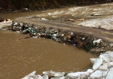 ABA Crişuri: Râurile se retrag, dar în urma lor rămân gunoaiele (FOTO)
