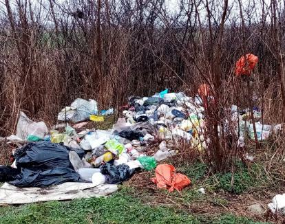 Noutate: Primarii din Bihor le pot imputa costurile de curăţenie proprietarilor care nu îşi respectă obligaţiile legale