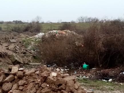 Amendă uriaşă pentru o primărie din Bihor, după ce comisarii de mediu au găsit gunoaie îngropate în albia Crişului Negru, în plină arie protejată! (FOTO)