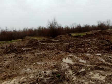 Amendă uriaşă pentru o primărie din Bihor, după ce comisarii de mediu au găsit gunoaie îngropate în albia Crişului Negru, în plină arie protejată! (FOTO)