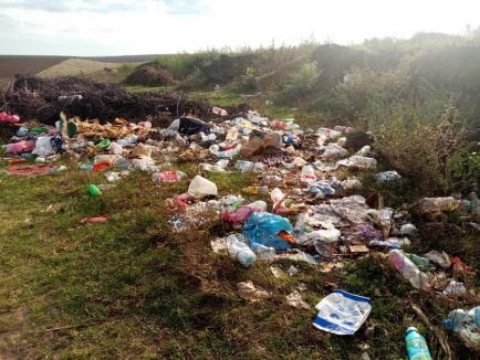 Trei primării din Bihor, amendate pentru gropi de gunoi clandestine. La Roşiori, gunoaiele erau îngropate pe malurile Barcăului! (FOTO)