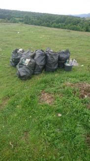 Controale finalizate: 96 de primării din Bihor au probleme cu gunoaiele (FOTO)