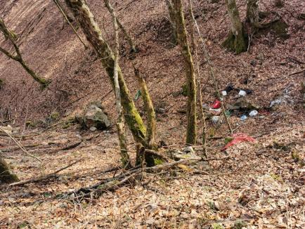 Gunoaiele zac la marginea satului din Bihor unde niciun localnic nu are contract cu firma de salubritate (FOTO)