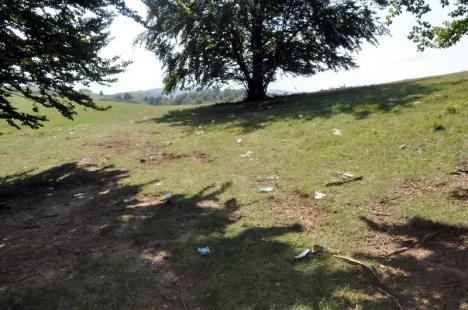 Rugul... mizerabil: Mormane de gunoaie rămase la marginea unei păduri din Bratca, după o tabără a penticostalilor (FOTO)