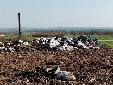 Gunoaiele de lângă noi: Amendă de 50.000 de lei pentru o firmă din Bihor care depozita deşeuri din cauciuc (FOTO)