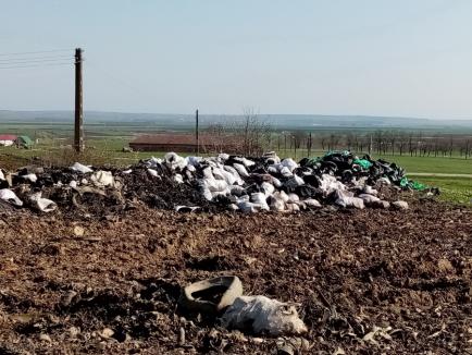 Gunoaiele de lângă noi: Amendă de 50.000 de lei pentru o firmă din Bihor care depozita deşeuri din cauciuc (FOTO)