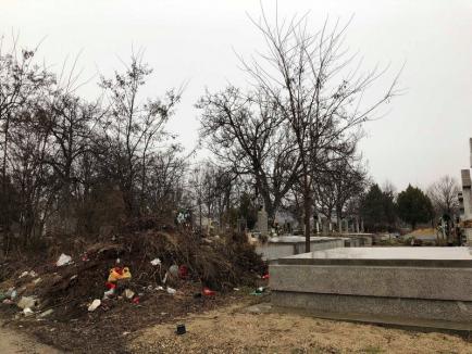 Cimitirul din Episcopia: Noroaie până la genunchi şi munţi de gunoaie (FOTO)