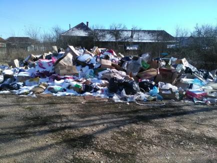 Se întâmplă în Bihor: Gunoaiele unor „ABC-uri” găsite de comisarii de mediu pe terenul unui vecin (FOTO)