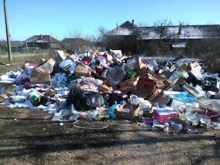 Se întâmplă în Bihor: Gunoaiele unor „ABC-uri” găsite de comisarii de mediu pe terenul unui vecin (FOTO)