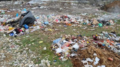 Încă o primărie din Bihor, amendată de Garda de Mediu: 15.000 de lei, pentru gunoaie aruncate la marginea comunei Ineu (FOTO)