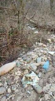 Defileul gunoaielor: Promenada făcută ilegal în defileul Crișului Repede s-a umplut cu flacoane de bere goale și zdrențe (FOTO/VIDEO)