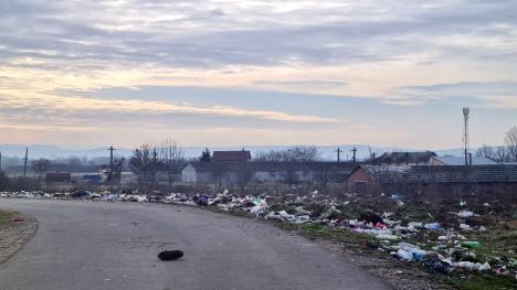 Câmpuri de gunoaie la marginea unui sat de lângă Oradea. De ce nu reușește primăria să mențină curățenia (FOTO)