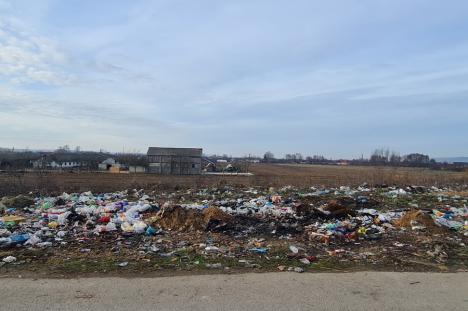 Câmpuri de gunoaie la marginea unui sat de lângă Oradea. De ce nu reușește primăria să mențină curățenia (FOTO)