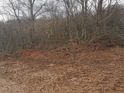 Gunoiul sub preș: În loc să strângă deșeurile, primarul din Vad le-a acoperit cu pământ (FOTO)