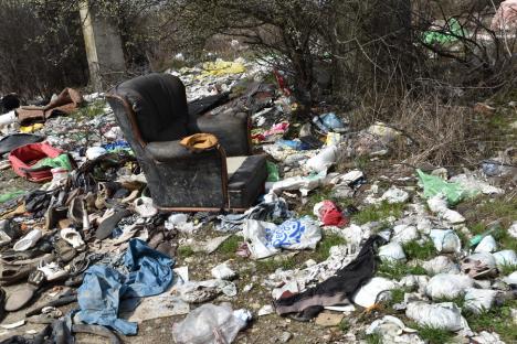 Primăria Oradea a pus deținuții să curețe „regatul gunoaielor” (FOTO)