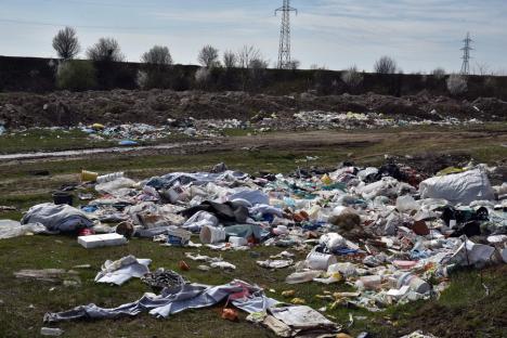 Scumpă curățenie! Suma uriașă pe care Primăria Oradea o plătește zilnic, pentru a curăța gunoaiele aruncate clandestin