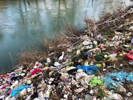 “Crişul Repede nu este o ladă de gunoi!”: Tone de deşeuri, adunate de pe malurile râului din Oradea (FOTO / VIDEO)