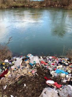 “Crişul Repede nu este o ladă de gunoi!”: Tone de deşeuri, adunate de pe malurile râului din Oradea (FOTO / VIDEO)